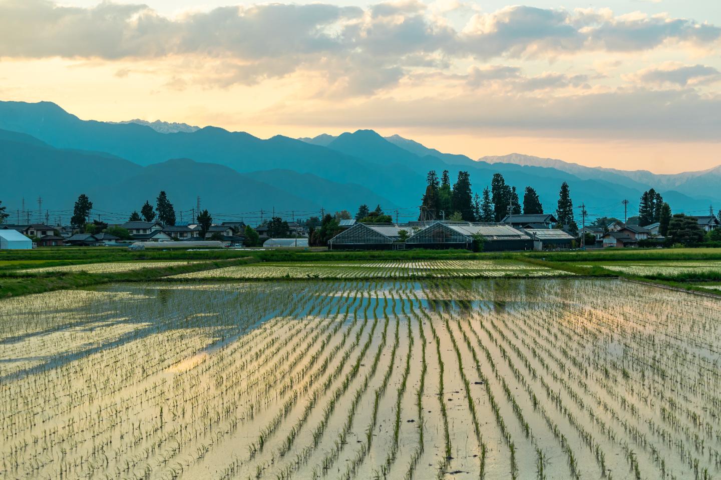 もがみ空き家の杜MV