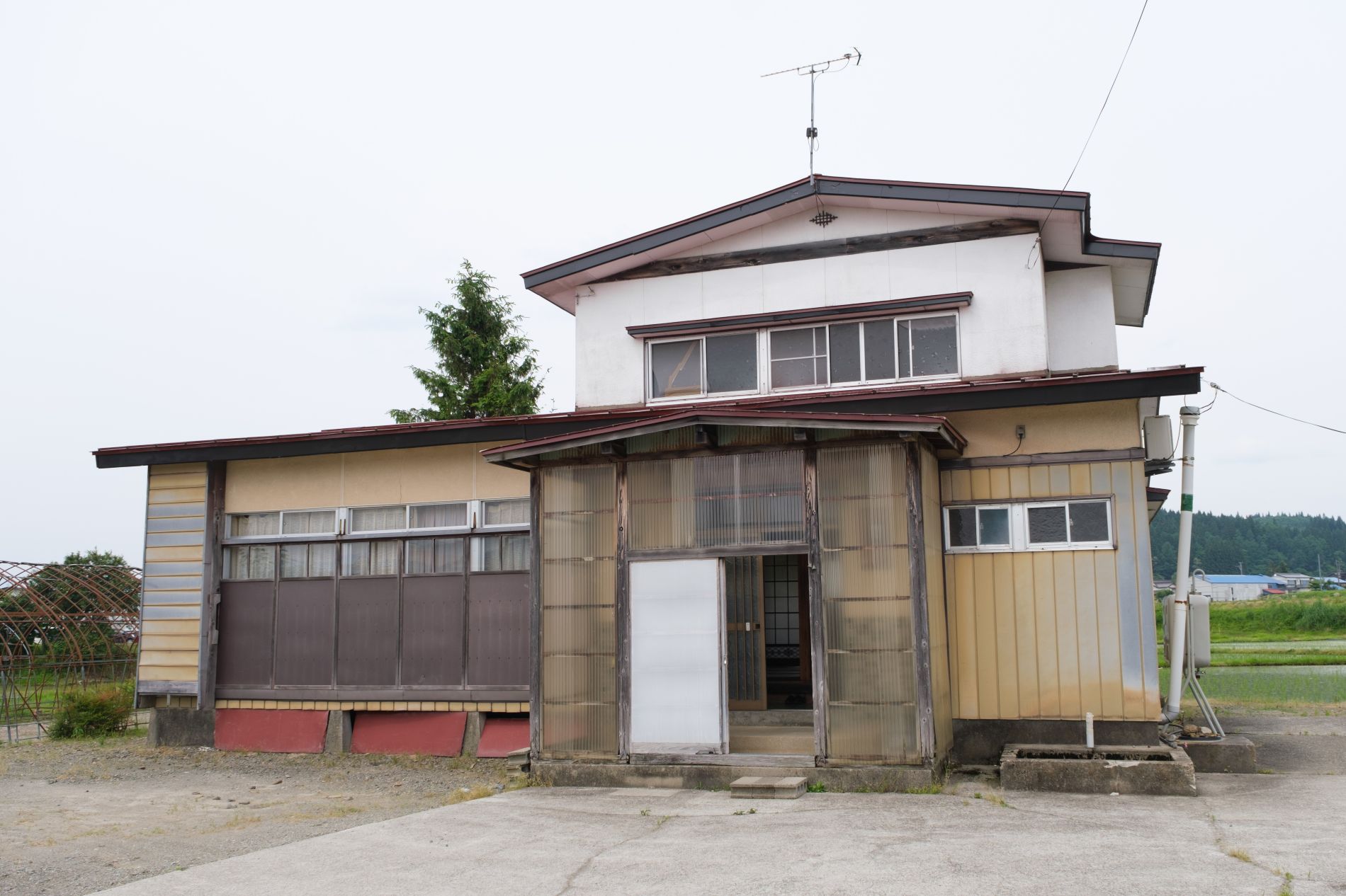 【サ25002】市川○○○になってみましょうか