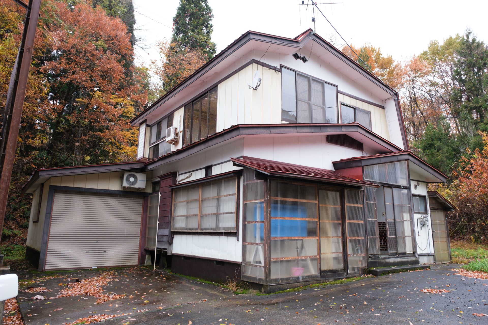 【シ25001】くまのこどう？